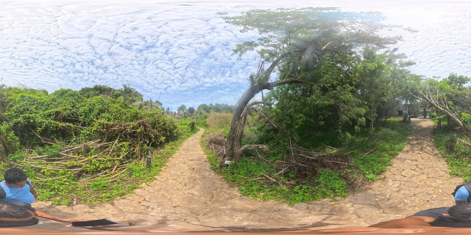 360 Experience